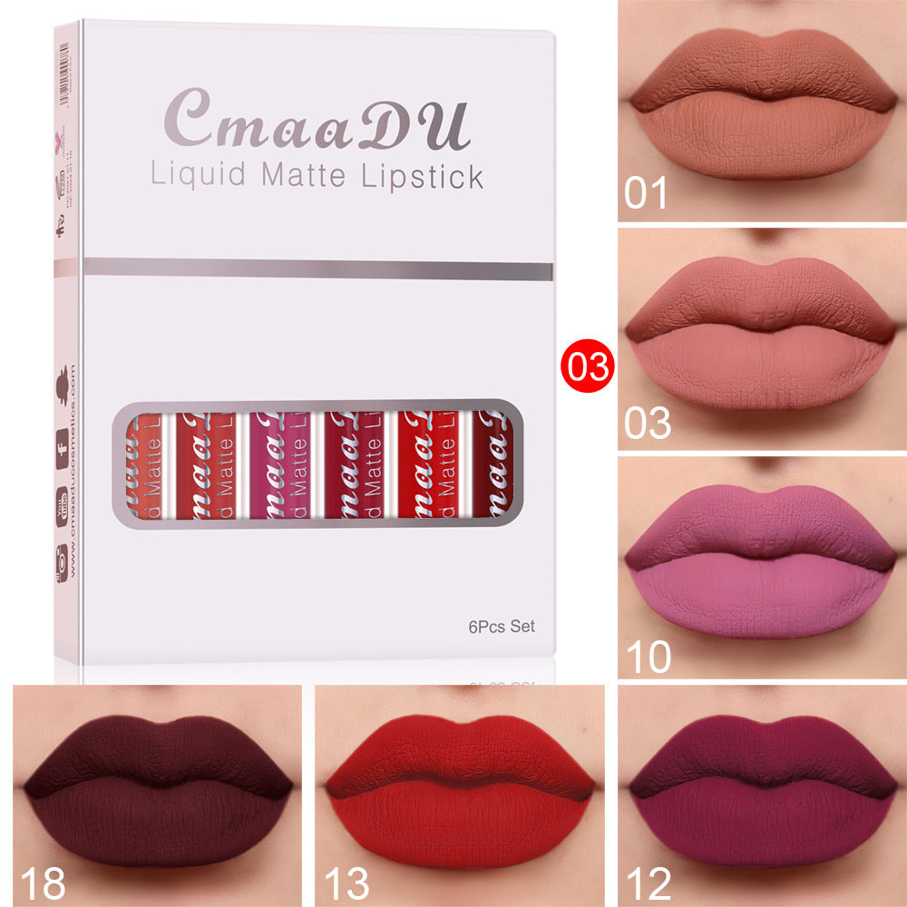 Liquid matte lipstick set box with berry, red, plum lip shade swatches